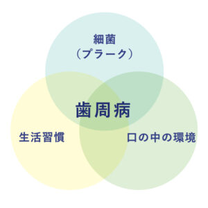 歯周病（Periodontal disease）