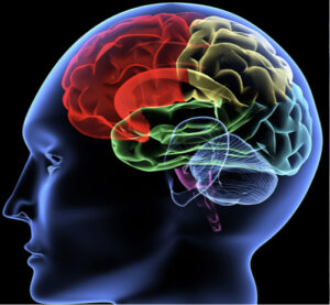 Uncovering the True Source of Pain: The Dental Diagnostic Process Where Subjectivity Meets Objectivity
